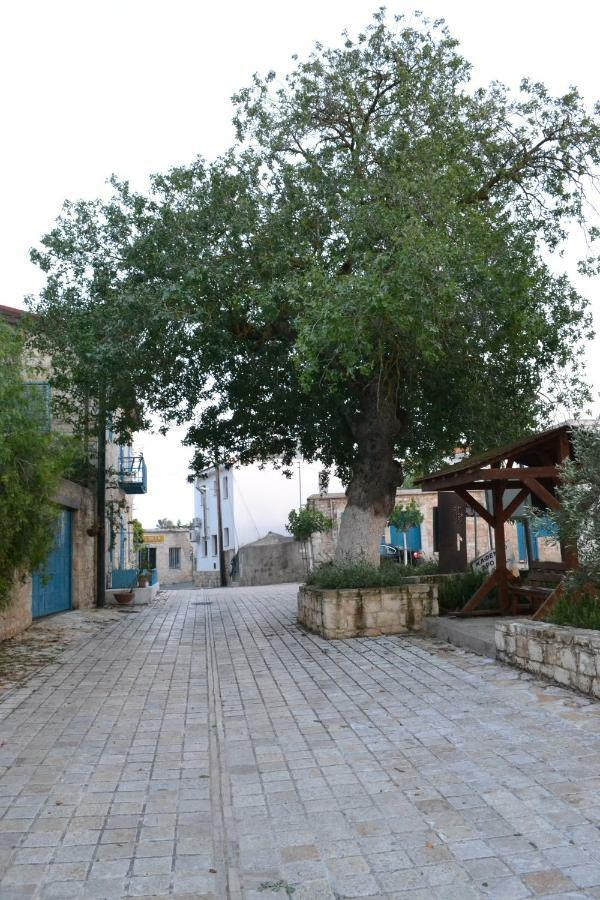 הוילה Pano Arodes Malietzis House מראה חיצוני תמונה
